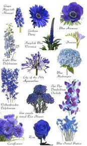 In the photos, there's light blue and navy blue hydrangea, please contact us if you want to mix the. Flower Names By Color Blue Wedding Flowers Blue Flowers Flower Names