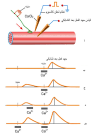 pin by chemistry on الحيوية in 2021 personal care chemical transmission