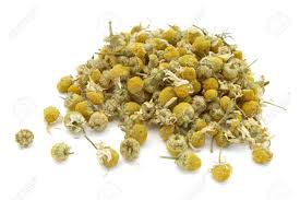 Buy chamomile dried flowers and get the best deals at the lowest prices on ebay! Close Up Of Dried Chamomile Flowers On White Background With Stock Photo Picture And Royalty Free Image Image 4316064