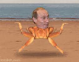 Search the imgflip meme database for popular memes and blank meme templates. Putin Memes Banned In Russia Hidemyass Blog
