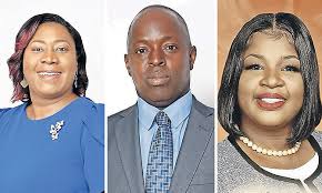 More than 100 nominees for local government in GB