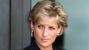 Princess Diana investigator says death 'terrible accident'