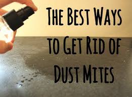 12 Guaranteed Ways To Get Rid Of Dust Mites In Your House Dust Mite Allergy House Dust Mite Dust Allergy