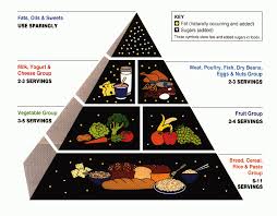 Why Cant The Usda Get The Food Guide Right A Lesson In