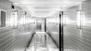 Scary creepy crow or raven sitting on tree branch during a full moon night with cloudy sky full hd 1920 1080 00:13 mystical horror background with dark hall of room, abstract horror backdrop. Scary Background Stock Footage Royalty Free Stock Videos Pond5