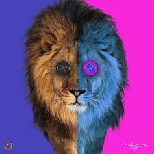 The King Of The Nft Jungle Foundation