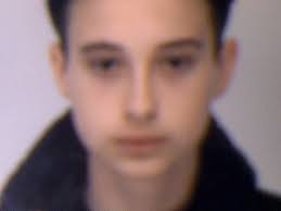 Boy, 14, missing from Towyn