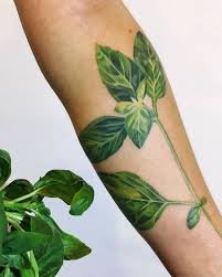 Many flowers, herbs, trees, and other plants traditionally symbolize feelings flower meanings have fascinated people for centuries, and in the language of flowers, each has its own particular meaning. Leaf Tattoo These 50 Gorgeous Leaf Tattoos Will Inspire You To Get One