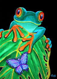 Pin By Rocio Lirio On Frog Art Frog Art Tree Frog Art Red Eyed Tree Frog