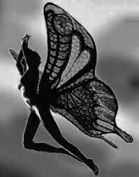 Las Mariposas Nunca Mueren Mariposas Hadas Pajaros