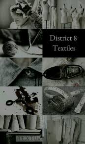 We did not find results for: We Never Stop Fighting Hunger Games Aesthetics Districts 7 13 The