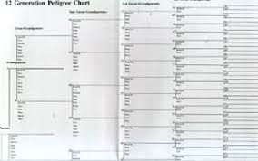 Charts Forms Family Tree Wall Charts