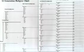Charts Forms Family Tree Wall Charts