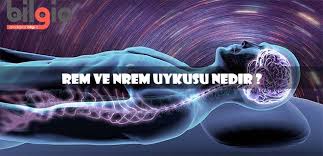 rem ve nrem uykusu nedir bilgio net kultur yuzler