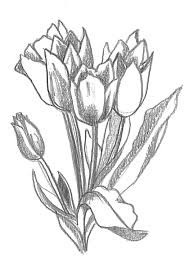You will learn how to create flower drawing easy and draw 12 different types of cool flowers including hawaiian and tropical as well as classic flowers such as rose, tulip and more. Flower Sketches