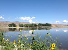 Alamo rent a car offers many. Alamo 2021 Best Of Alamo Nv Tourism Tripadvisor