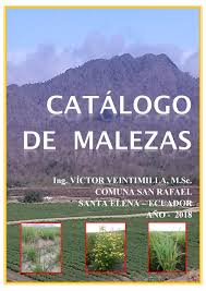 May 19, 2021 · cualquier solución puede llegar demasiado tarde para estanislao wawrzyniak, de 73 años, quien recibió diésel la semana pasada por primera vez en dos meses para su parcela de 60 hectáreas en turén, que está invadida por la maleza. Catalogo De Malezas Provincia De Santa Elena Ecuador By Veintimillavictor2018 Issuu