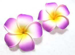 Plumeria Clipart Plumeria Flower Tattoos Flower Drawing Plumeria Tattoo