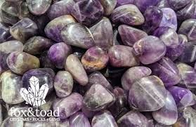 Image result for Ischaemum amethystinum
