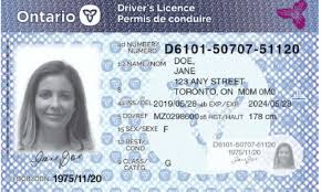 An official website of the united sta. Ontario Extends Health Card Validation Period Archives Toronto Times