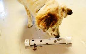 What about small dog treats in a water bottle? Homemade Puppy Toys Online Shopping