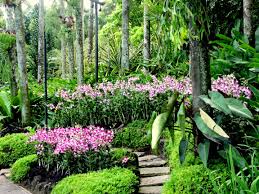 The national orchid garden is huge so you'll need a good few hours if you want to see all of the at sgd$5, the national orchid garden is a must visit when in singapore. National Orchid Garden Zeotrip