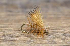 We did not find results for: Elk Hair Caddis Tailwater Junkie