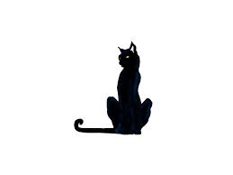 Black And White Cat Tattoo Ideas Pin By Anastasia Walker On Shh Black Cat Tattoos Cat Tattoo Designs Cat Tattoo
