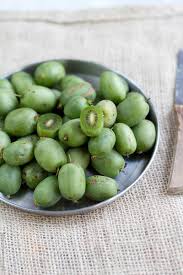 Image result for foto minikiwi