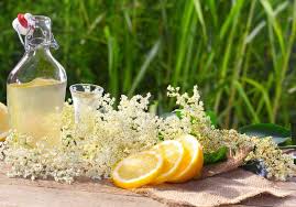 Holunderblutensaft Nach Omas Rezept Rezept Holunderbluten Rezepte Holunder Holunderblutensaft Selber Machen