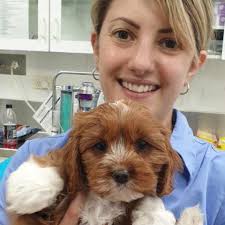 Meet Our Experienced Vet Team in South Sydney