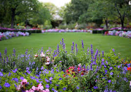 Check spelling or type a new query. The Best Deer And Drought Resistant Plants For Northern Virginia Best Pick Reports