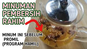 Infused water kurma, jahe, kunyit. Manfaat Infused Water Kayu Manis Dan Jahe Resep Jsr Youtube