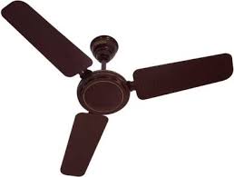 Check spelling or type a new query. Usha 900mm Swift W O Reg Br Cf 900 Mm 3 Blade Ceiling Fan Price In India Buy Usha 900mm Swift W O Reg Br Cf 900 Mm 3 Blade Ceiling Fan Online