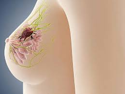 We did not find results for: Bac SÄ© Chuyen Khoa Chá»‰ Ra Ung ThÆ° Vu Va Dáº¥u Hiá»‡u Nháº­n Biáº¿t Medlatec