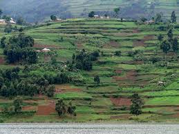 Image result for INDENTURED INDIANS IN UGANDA