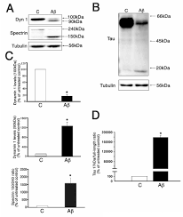Compare money transfer services, compare exchange rates and commissions for sending money from japan to malaysia. The Novel Calpain Inhibitor A 705253 Potently Inhibits Oligomeric Beta Amyloid Induced Dynamin 1 And Tau Cleavage In Hippocampal Neurons Abstract Europe Pmc