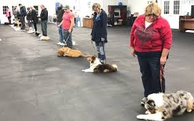 Northwestern medicine mchenry hospital is a hospital in mchenry, illinois. Pet Training By Aldens Kennels And Dog Training Facility For Mchenry County Il In Ringwood Area Alignable