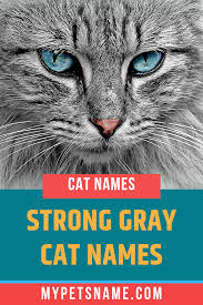 'gandalf the gray' from 'the lord of the rings' 'dorian gray', from oscar wilde's 'the picture of dorian gray' Strong Gray Cat Names Grey Cat Names Grey Cats Grey Kitten Names