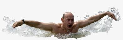 Download free vladimir putin transparent images in your personal projects or share it as a cool sticker on tumblr, whatsapp, facebook messenger, wechat, twitter or in other messaging apps. Swimming Png Vladimir Putin Transparent Png 700x437 Free Download On Nicepng