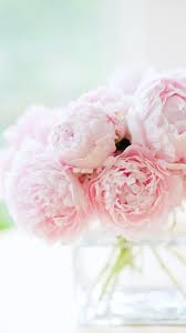 Beautiful Soft Pink Peonies Pale Pink Peonies Flowers Flower Arrangements