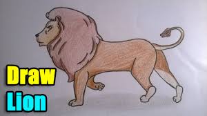 How To Draw A Lion Youtube