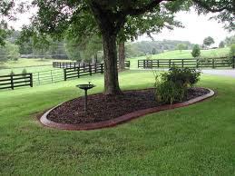Stunning Landscaping Around A Tree Ideas Landscaping Expert Tips Landscaping Around Trees Landscape Borders Trees For Front Yard