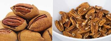 Brazil nuts are high in selenium, which is a trace mineral vital for proper body function. Types Of Nuts Different Nut Varieties With Pictures And Names