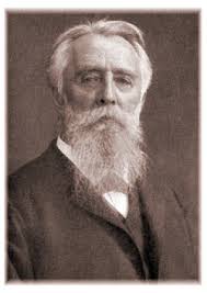 The Oxford Birdwings and their data.