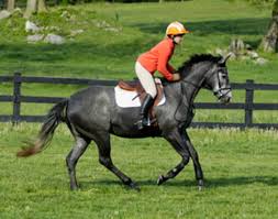 The drops bring your body slightly forward and lower allowing. Improve Your Galloping Position For Cross Country Expert How To For English Riders