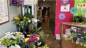 Flowers in los angeles by a local la florist 7 days a week. California Flower Shops For Sale Bizbuysell