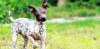 We did not find results for: 0he6jmawmhkzgm