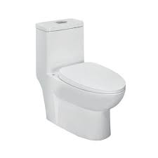 The jaquar group, established in 1960, is a company that sells faucets, showers, shower enclosures, sanitary ware, flushing systems, wellness products, concealed cisterns, water heaters. Solo Single Piece Toilet Seat And Cistern S Trap 300mm Jaquar