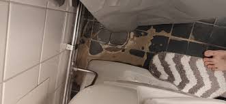 Image result for site:byggahus.se skvallerrör